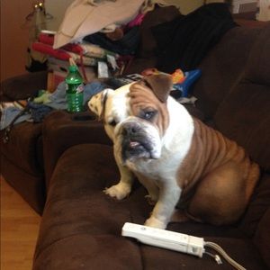 Meet your Posher, Tim